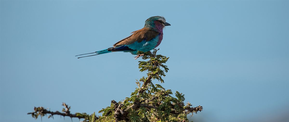 Mahali Mzuri, image 9
