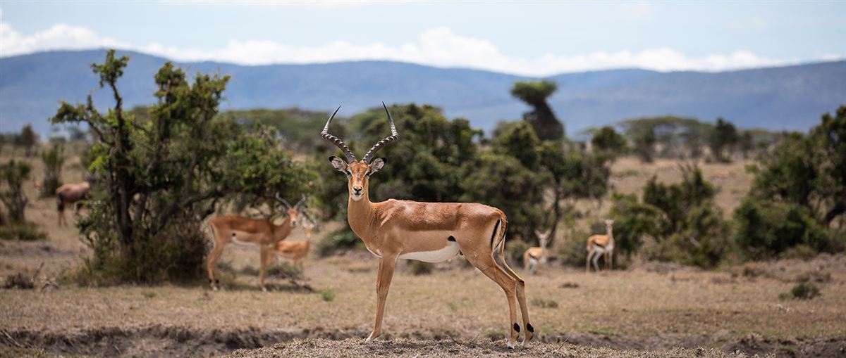 Mahali Mzuri, image 18