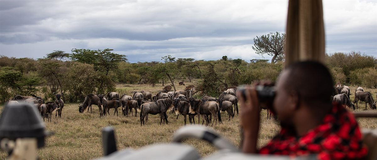 Mahali Mzuri, image 22